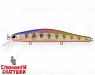 Transparent Pearl Arctic Char (EG-193B-SP#AR152G)