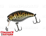 Bass Coach