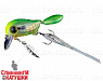 Chartreuse grass hopper