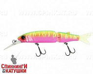 Dragon fruit mat tiger