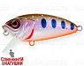 Arctic Char (EG-134#A142-264)