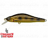Spotted Bullhead (EG-125A-SP#JV009F)