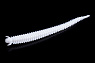 цв. 21