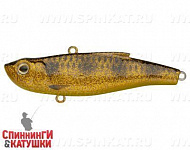 Spotted Bullhead (SP-198S#JV009F)