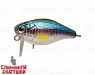 Rainbow Ghost Wakasagi (EG-164SL#A210-SBO-RP)