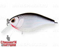 Black Back Silver (EG-164S#A010-EP)
