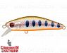 Arctic Char (EG-222A#A142-264)