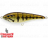 Mouth Bass (EG-048#C625F)