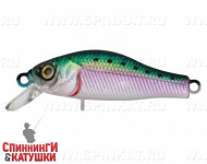 Pacific Sardine (EG-125E-SP#692-713-RP)