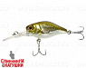 Hl shad