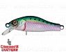 Pacific Sardine (EG-125E-SP#692-713-RP)