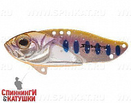 Arctic Char (JG-005E#A142-264)
