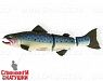 EG-154S#968T