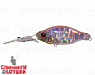 #15 Water Perch