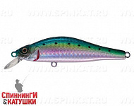 EG-125A-SP#692-713-RP