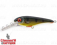 Golden Perch (EG-049LL#C382F)
