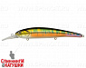 River Radical (EG-220SP#A203-264)