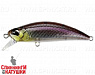 #GSN4011 Stream Shad