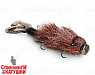 Baby Brown (11-MMA-015)