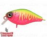 Watermelon Mat Tiger (EG-164F#A230S)