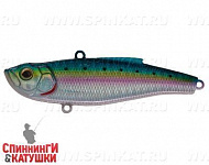 Pacific Sardine (SP-198H#692-713-RP)