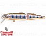 Arctic Char (JS-393#A142-264)