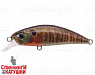 #CCC3357 True Gill