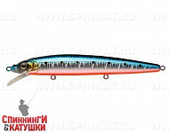 Blue Back Silver OB Fluo (EG-034F#A234-SBO-LU)