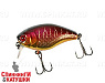 Spawning Tiger