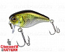 Hl shad