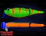Acid Perch Fluo (SH-003AJ#A139FL)