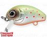 Mat Motley Trout (EG-036F#A190ES)