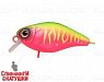 Watermelon Mat Tiger (EG-165#A230S)
