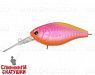 Pink Lady (EG-168L#C543-713)