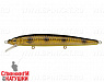 Spotted Bullhead (EG-033F#JV009F)