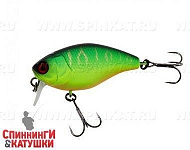 Matt Tiger