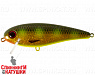 Hot Spotted Bullhead (EG-205B#JV011)