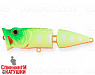 Lemon Mat Tiger (SH-002DJ#A178S)