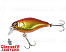 Hl Red&Gold