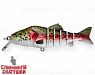 Trout Silver (EG-066A#71)
