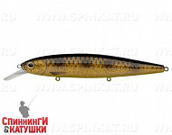 Spotted Bullhead (EG-191-SP#JV009F)