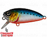 Blue Back Silver OB Fluo (EG-134#A234-SBO)