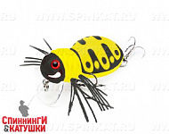 #11 Wasp