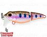 Arctic Char (EG-073J#A142-264)