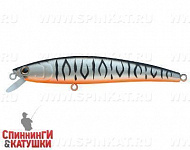 Grey Shadow Mat Tiger (JL-120-SP#A243ES)