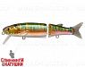River Radical (EG-157-SP#A203-264)