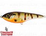 Sunfish (EG-148#C769F)