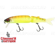 Tropical mat tiger
