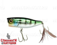 Hl Blue Gill
