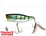 Hl Blue Gill